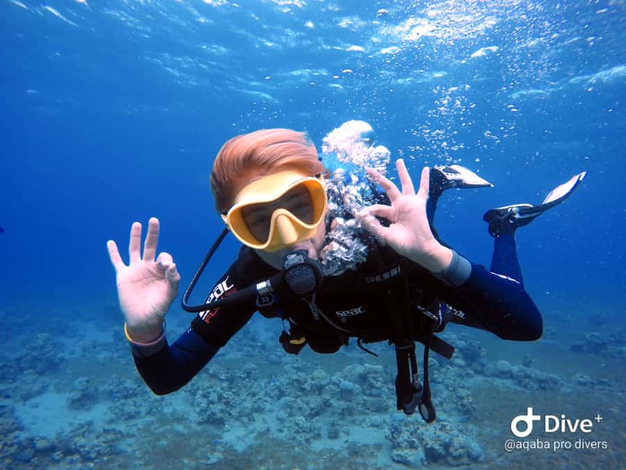 Pivate scuba diving in the Red Sea of Aqaba - Who will get the most from this Aqaba experience