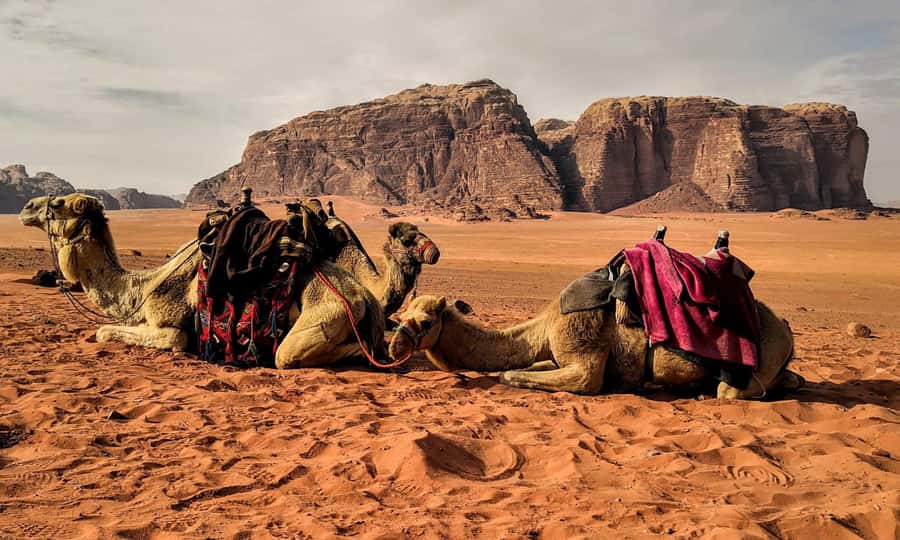 Private 3-Hour Guided Tour of Petra with Hotel Pickup . - Colonnaded Street and Qasr Al Bint