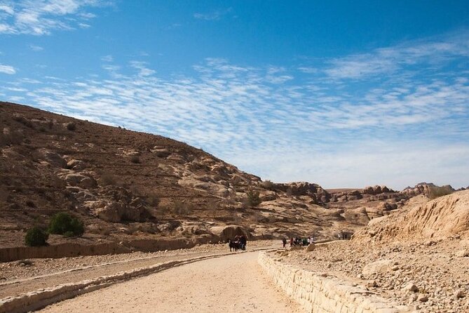 Private 5-Day Guided Tour of Jordan - Who should book this tour