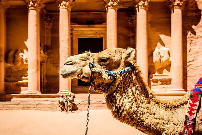 Private Full Day Tour from Amman to Petra City - Six hours in Petra: how to use the time