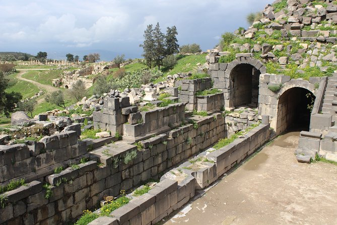 Private Full Day Tour to Umm Qais and Ajloun from Amman - Who should book this northern Jordan day?