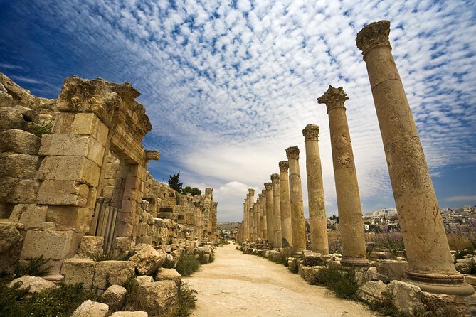 Private Half Day Jerash and Amman Sightseeing Tour - The private vehicle and the drive from Amman
