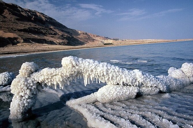 Private Half Day Tour to the Dead Sea - Key points to know before booking