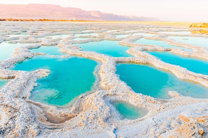 Private Half Day Tour to the Dead Sea - The private format and driver service
