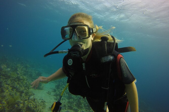 Private Intro Scuba Dive – Aqaba Coral Reefs - Why Aqaba works so well for a first scuba session