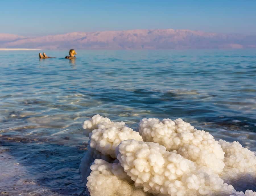 Private or sharing tour to Dead Sea,Nebo,Madaba&Baptism Site - Key points to know before booking
