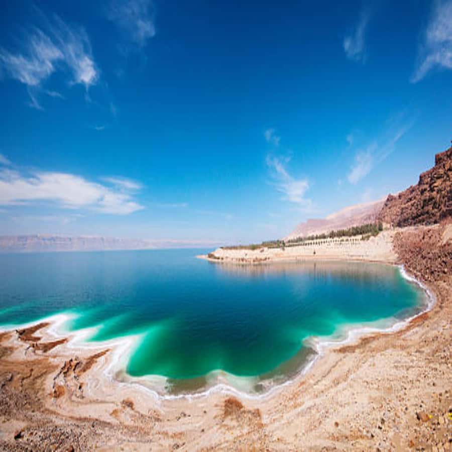 Private or sharing tour to Dead Sea,Nebo,Madaba&Baptism Site - The service style and what to expect from the driver