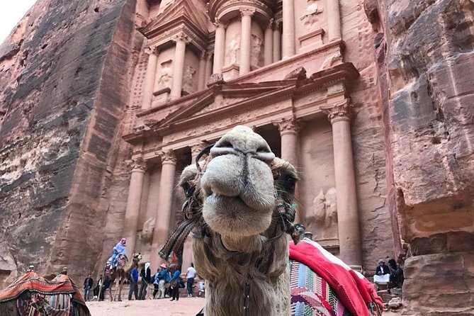 Private Petra Full-Day Trip from Aqaba City - Private transport and the long return to Aqaba