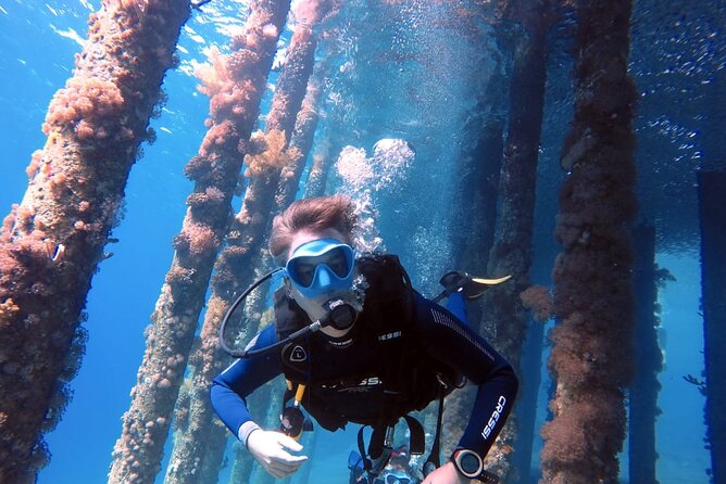 Private Scuba Diving Adventure in the Red Sea of Aqaba - Key points for your Aqaba scuba trip