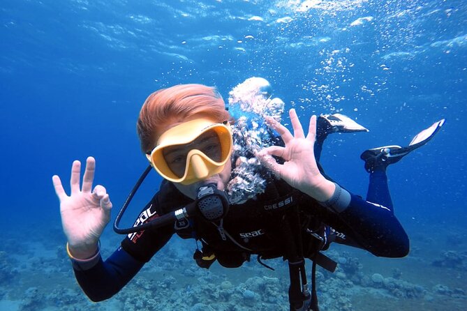 Private Scuba Diving Adventure in the Red Sea of Aqaba - The meeting point and the start from shore