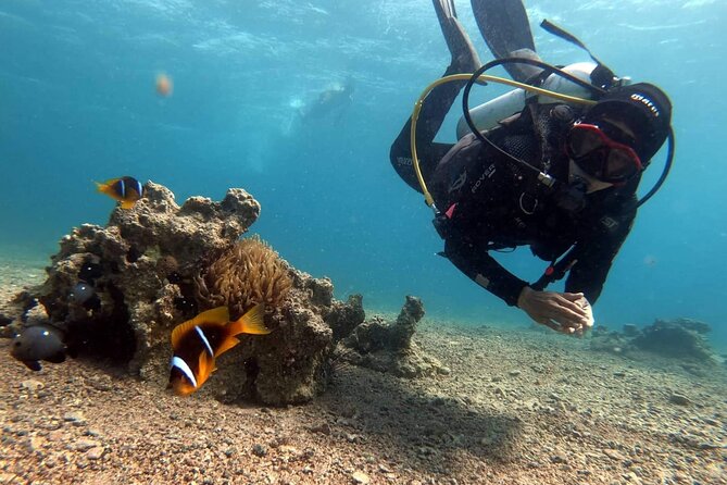 Private Scuba Diving Adventure in the Red Sea of Aqaba - Who will get the most from this experience?