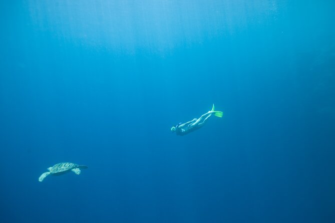 Private Snorkeling Experience in Aqaba Red Sea - What this Aqaba snorkeling trip is really like