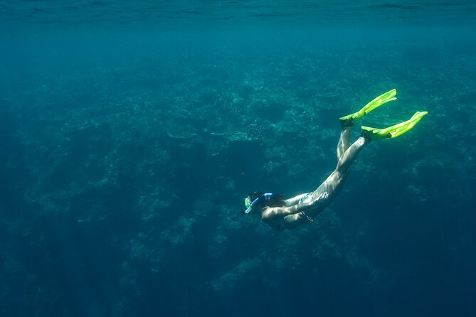 Private Snorkeling Experience in Aqaba Red Sea - A useful beginning for nervous beginners