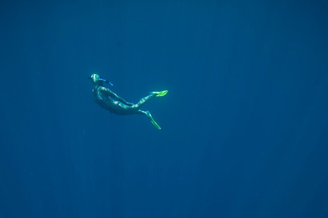 Private Snorkeling Experience in Aqaba Red Sea - The equipment and what is included