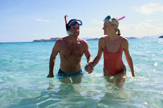 Private Snorkeling Experience in Aqaba Red Sea - Photos and videos without the phone gamble