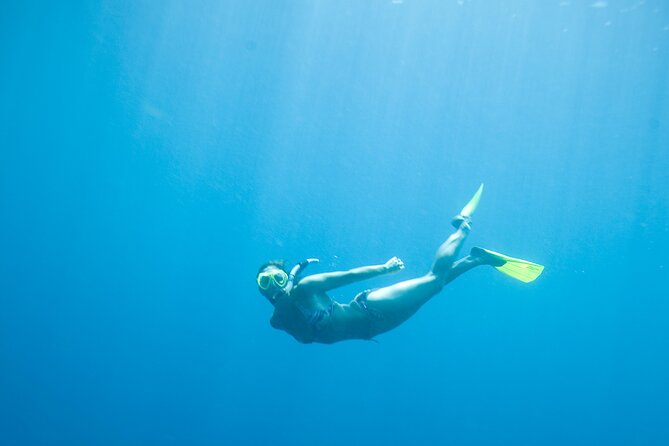 Private Snorkeling Experience in Aqaba Red Sea - Who will get the most from this experience