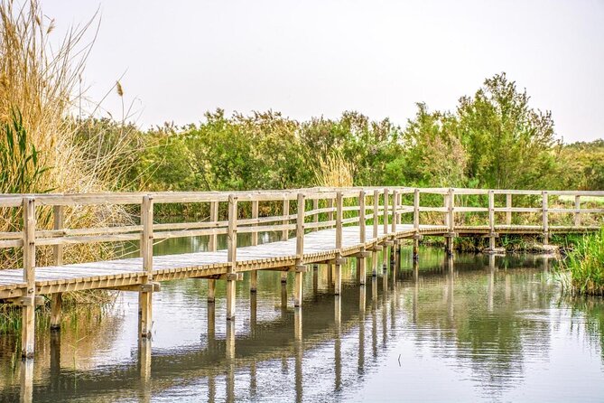 Private Tour of Desert Castles Eastern Jordan with optional Azraq Wetland Visit - Key points to know before booking