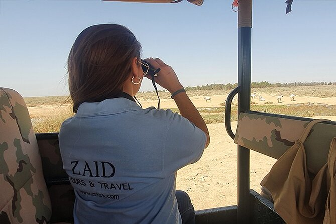 Private Tour of Desert Castles Eastern Jordan with optional Azraq Wetland Visit - Why these eastern castles are worth your morning