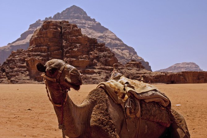 Private Tour of Wadi Rum Star Wars from Aqaba - What the $146.67 price really buys