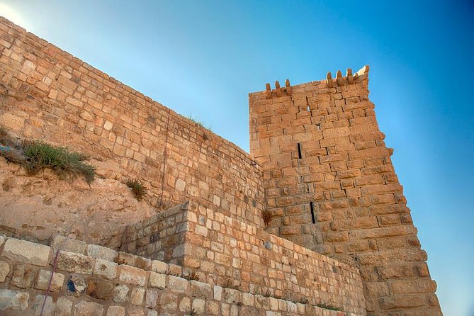 Private Tour Petra and Shobak Castle from Amman - Is $263 per person good value?