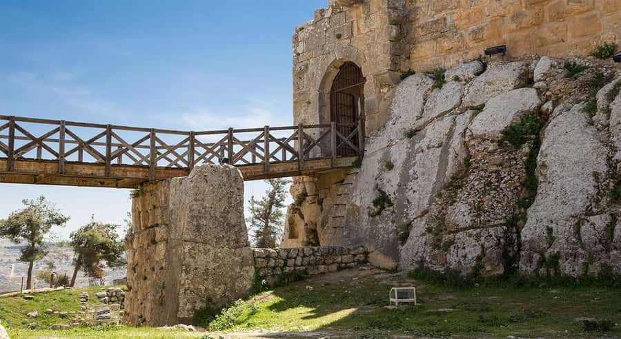 Private Tour to Jerash and Ajloun from Amman - Book this tour or arrange it yourself?