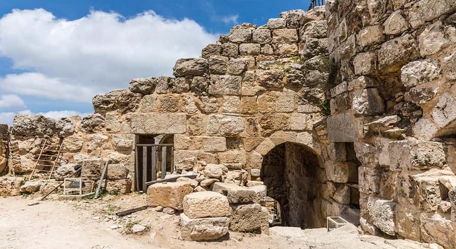 Private Tour to Jerash and Ajloun from Amman - FAQ