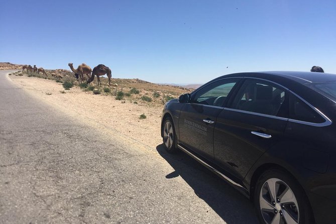 Private Transfer from Amman to Petra, Wadi Musa - Where the service is strongest