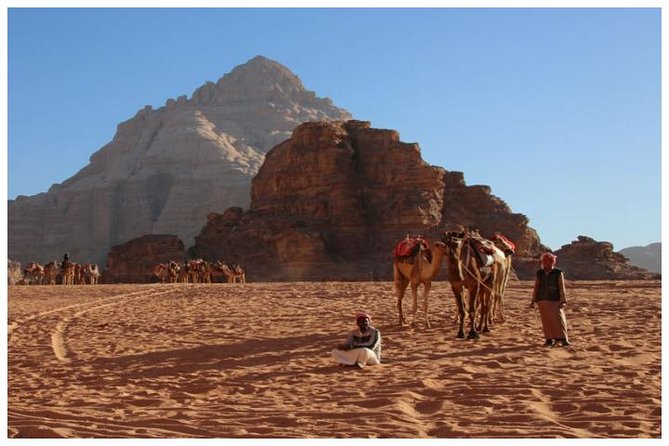 Private transfer Petra to/from Wadi Rum - Wi-Fi, comfort, and the small details that help