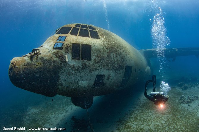 Scuba Diving for Certified Divers - Key points to know before booking