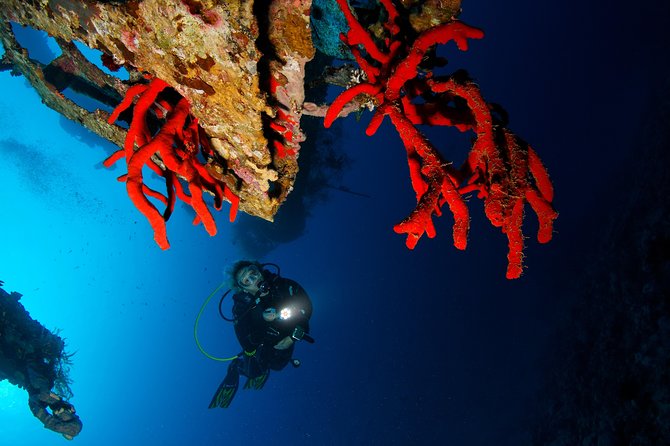 Scuba Diving for Certified Divers - Lunch on the boat keeps the day easy