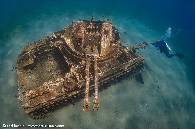 Scuba Diving for Certified Divers - What you can expect underwater