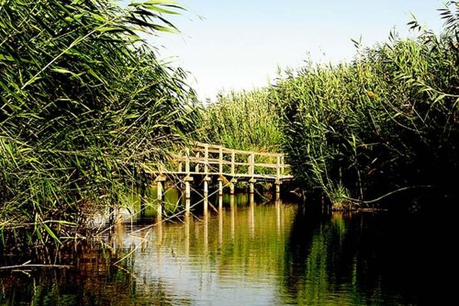 Shaumari Reserve and Azraq Wetland Private Full Day Tour from Amman - Shaumari’s Arabian oryx and 4x4 drive