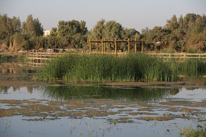 Shaumari Reserve and Azraq Wetland Private Full Day Tour from Amman - The long road from Amman