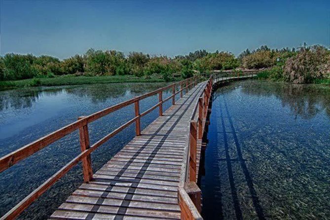 Shaumari Reserve and Azraq Wetland Private Full Day Tour from Amman - Best season and what to pack
