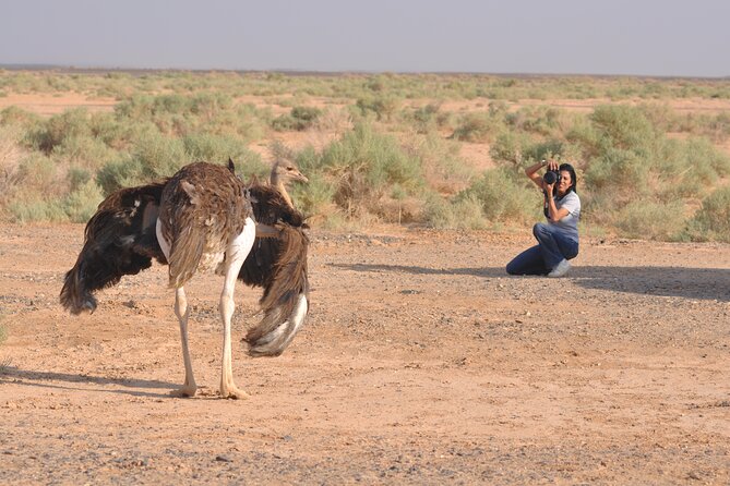 Shaumari Reserve and Azraq Wetland Private Full Day Tour from Amman - Booking details and cancellation