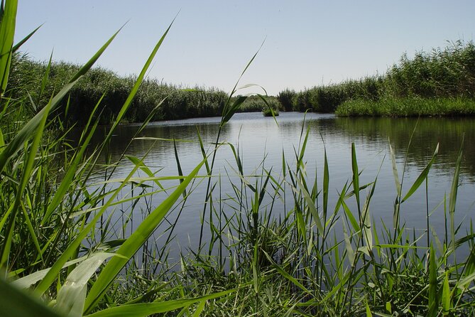 Shaumari Reserve and Azraq Wetland Private Full Day Tour from Amman - A stop with more than birds