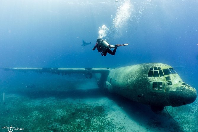 Shore Certified Diving - Two Dives - Two South Beach descents in one half-day