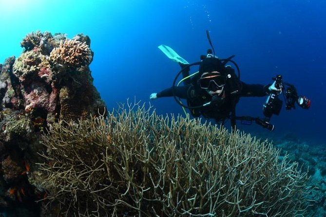 Shore Certified Diving - Two Dives - Is $120 a fair price?