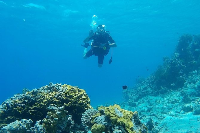 Shore Discover SCUBA Diving/Introductory Diving - One Dive - What this Aqaba SCUBA introduction actually offers