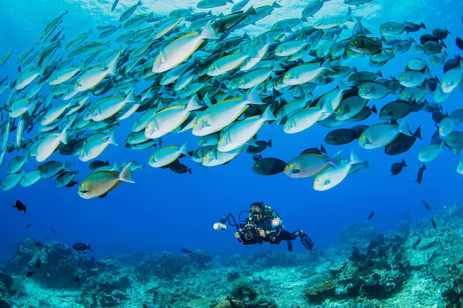 shore dive in red sea with pick up & snacks - Why Aqaba is a good place for a first underwater session