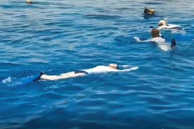 Shore Snorkeling - Two hours - What happens during the two-hour shore trip