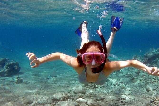 Snorkeling Activity in Aqaba with Lunch and Transportation (Boat) - A half-day boat outing on Aqaba’s Red Sea coast