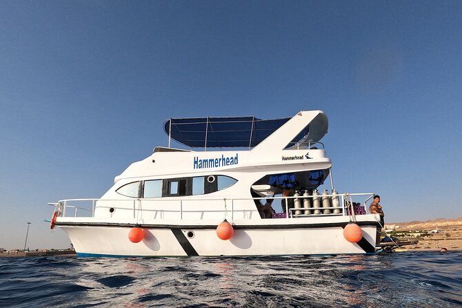 Snorkeling Activity in Aqaba with Lunch and Transportation (Boat) - Swimming time, equipment, and guidance