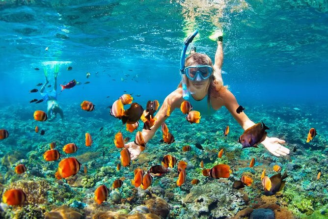 Snorkeling Activity in Aqaba with Lunch and Transportation (Boat) - Weather, cancellations, and small practical details
