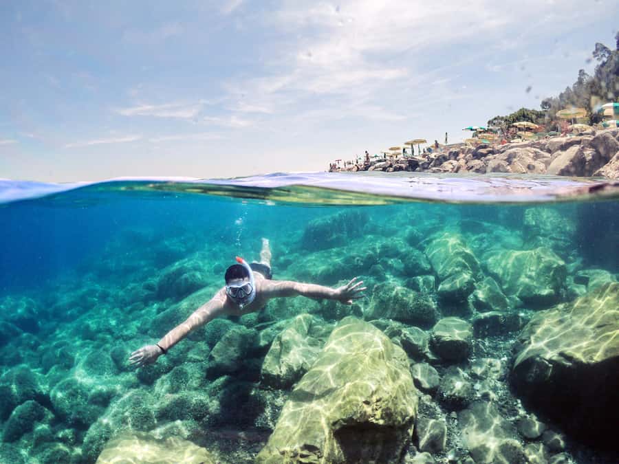 Snorkeling in The Red Sea With Equipment And Free Transfer - Aqaba’s Red Sea beneath the surface