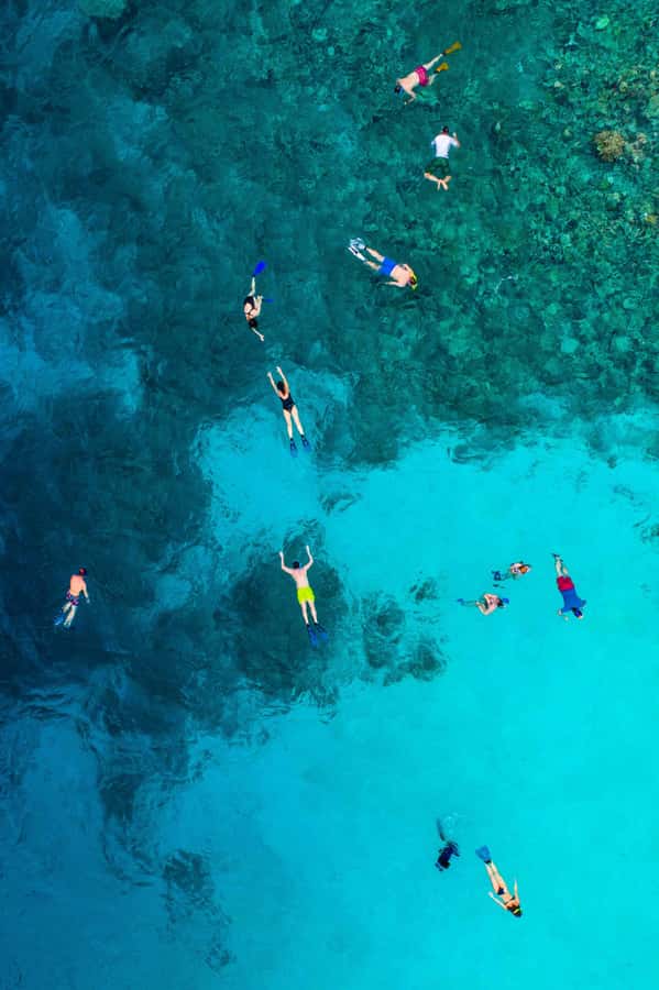 Snorkeling in The Red Sea With Equipment And Free Transfer - Who will enjoy this Aqaba snorkeling trip?