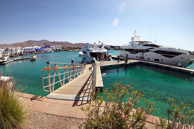 Take advantage of a half-day boat dive experience in Red sea of Aqaba. - Key points to know before you book