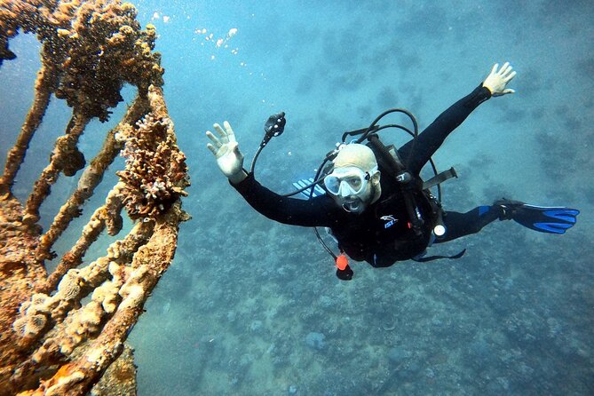 Take advantage of a half-day boat dive experience in Red sea of Aqaba. - What happens at the underwater site