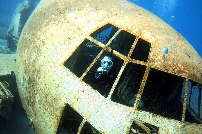 Take advantage of a half-day boat dive experience in Red sea of Aqaba. - Snorkeling, swimming, and lunch after the first session