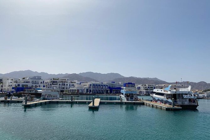 Take advantage of a half-day boat dive experience in Red sea of Aqaba. - Safety, health, and fitness rules